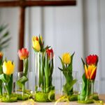 The current image has no alternative text. The file name is: tulips-4895164__480.jpg